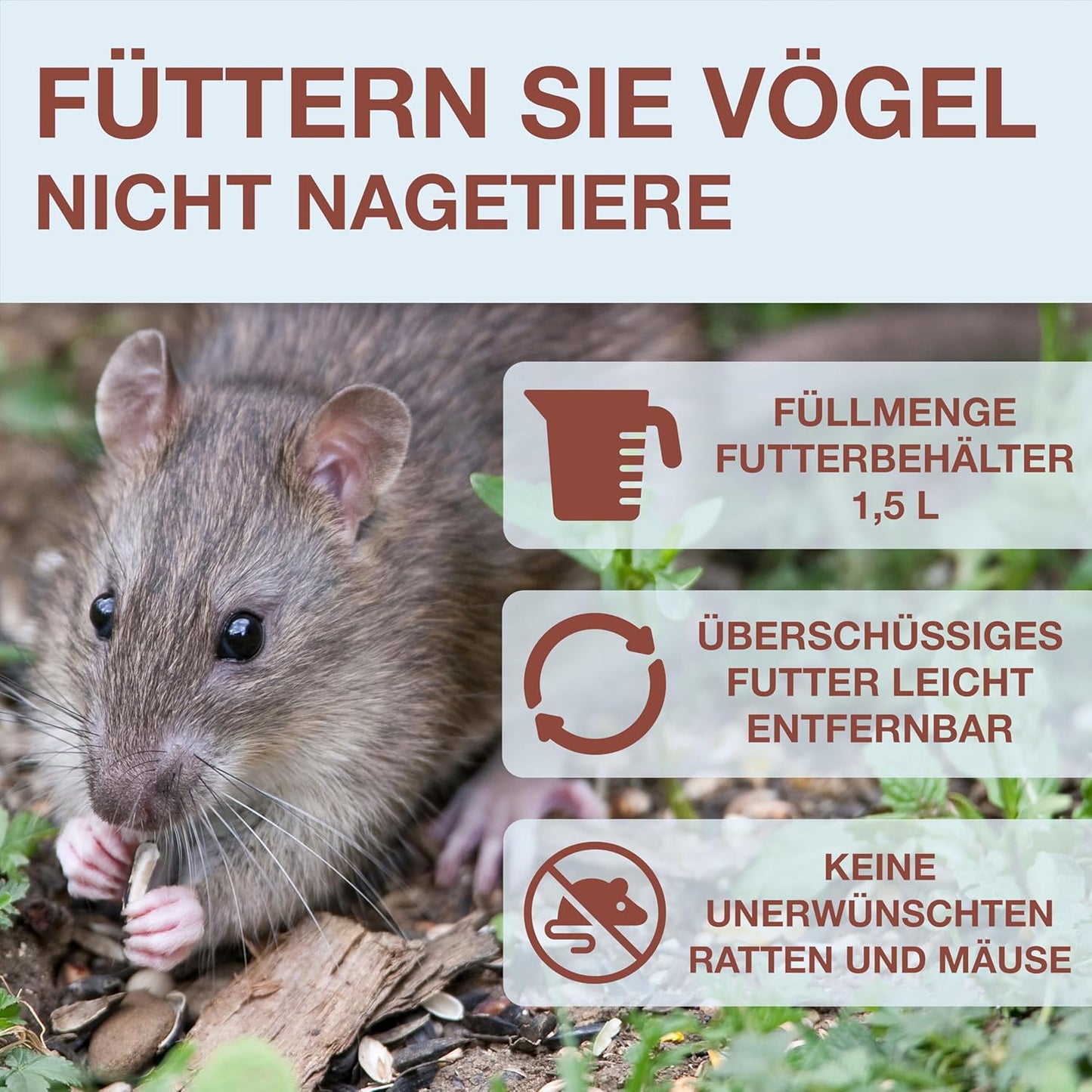 Vogelfutterhaus Davos, Hellblau Davos