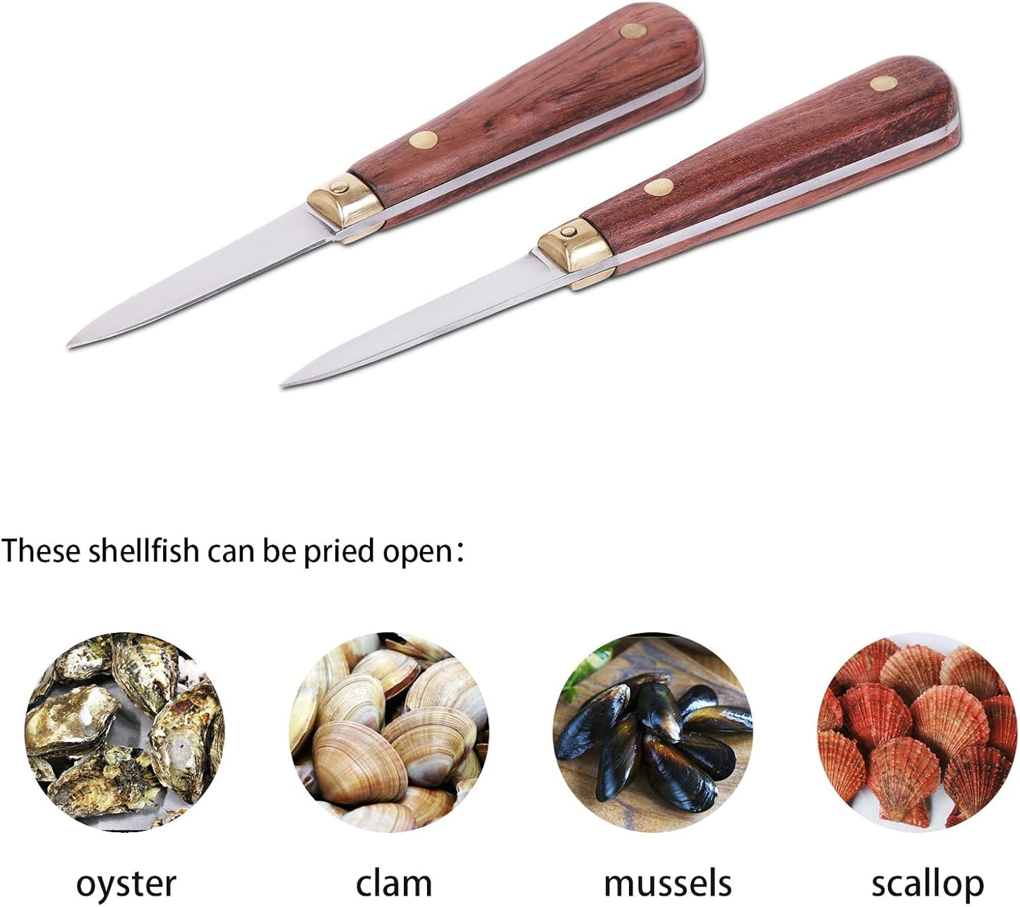 Austernmesser mit Schutzhandschuhe, 2 Knife+L glove