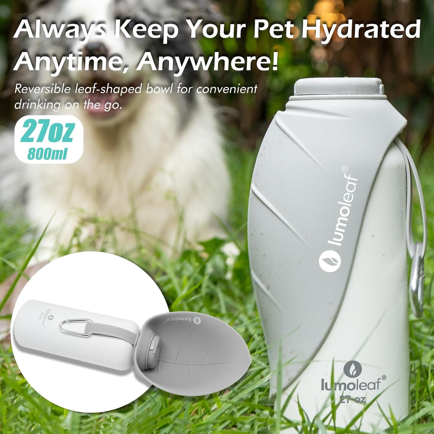 Isolierte Hundewasserflasche, Grau 800 ml