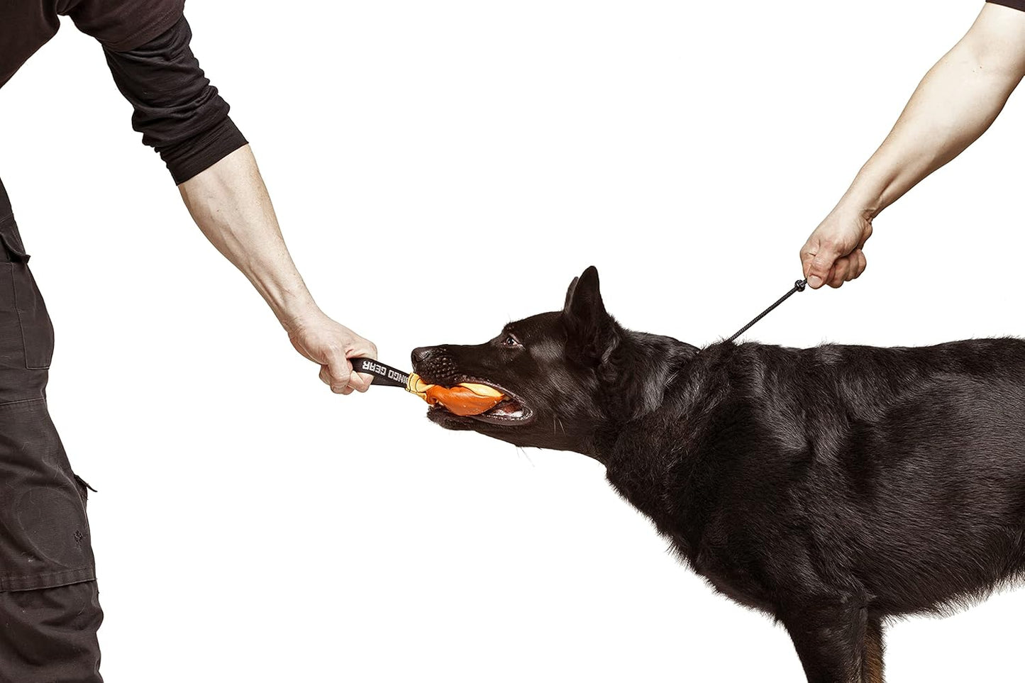Trainingshalsband für Hunde, xs Dünne 1 Begrenzung
