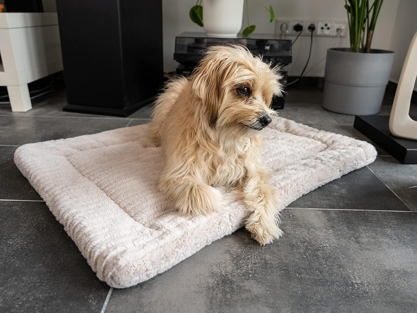 Harmony - Hundedecke, 75x55cm Creme