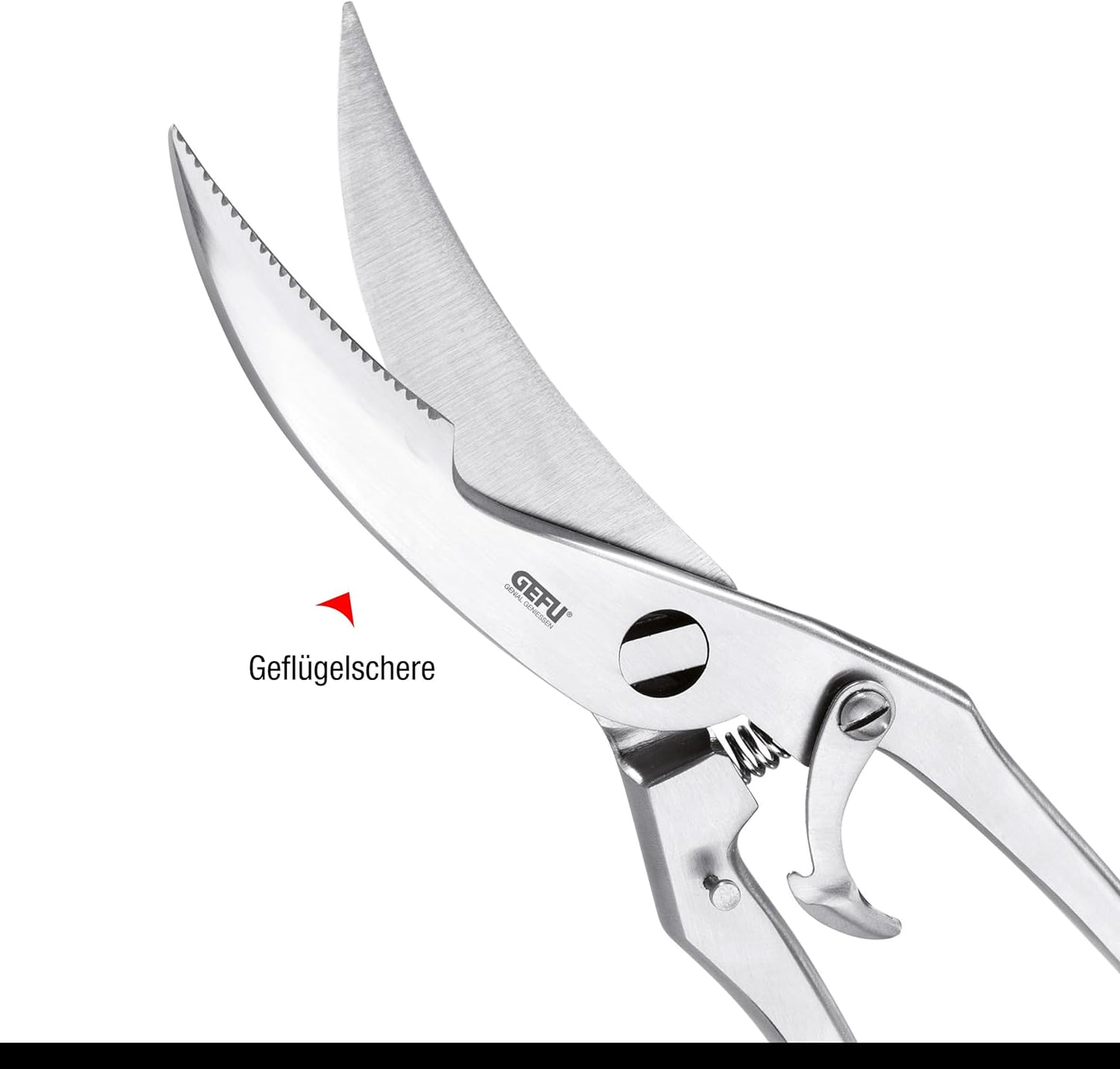 Geflügelschere Polla