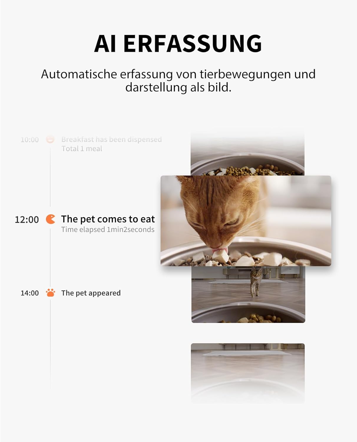 Automatischer Futterautomat mit Kamera & App-Steuerung