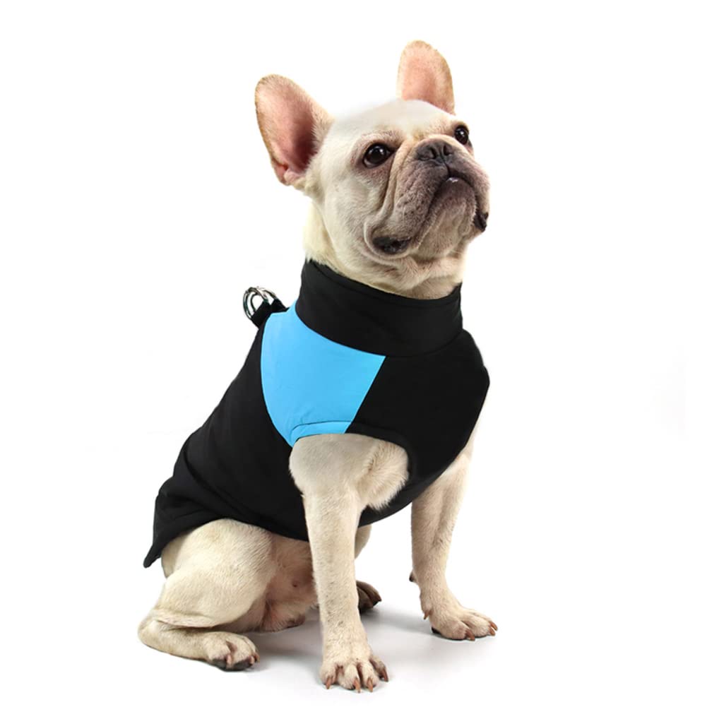 Wasserdichter Hundemantel, Blau 3XL