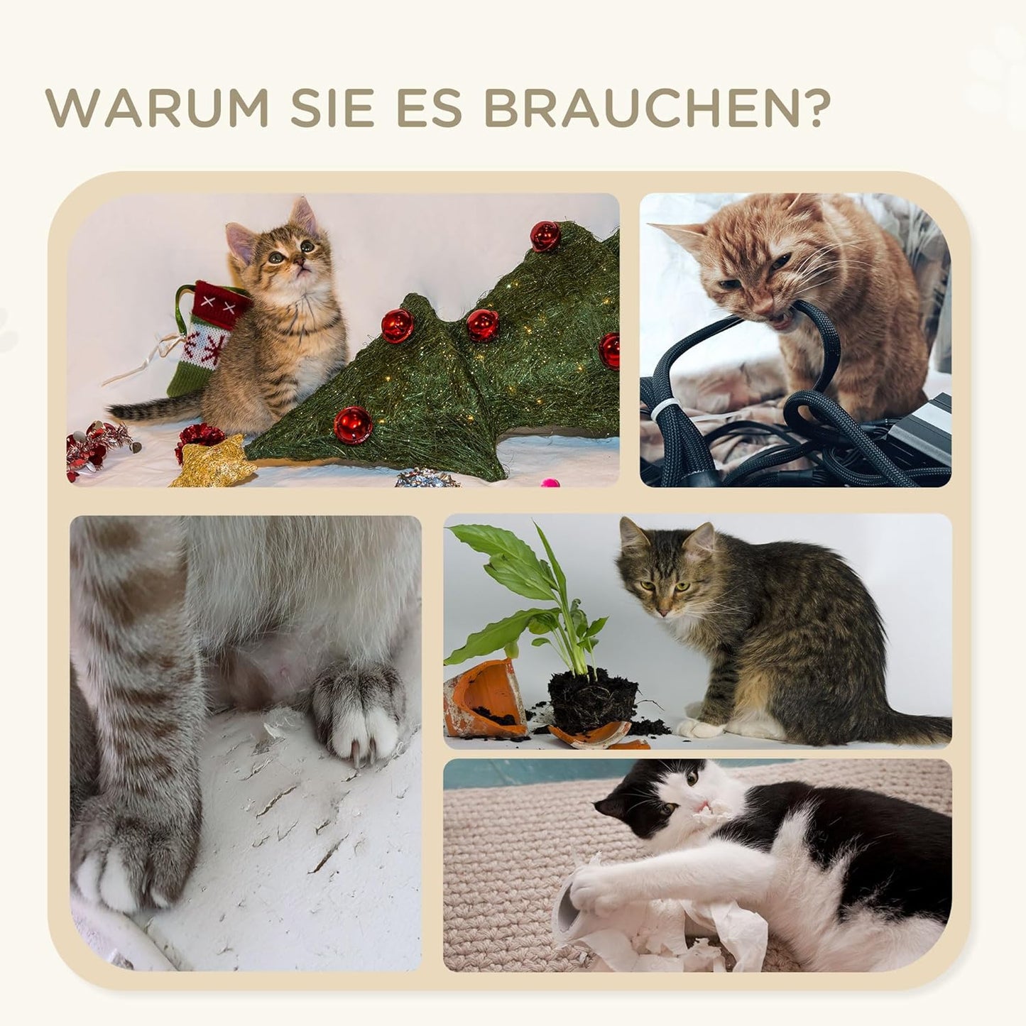 3-stufige Katzentreppe mit Sisalsäule