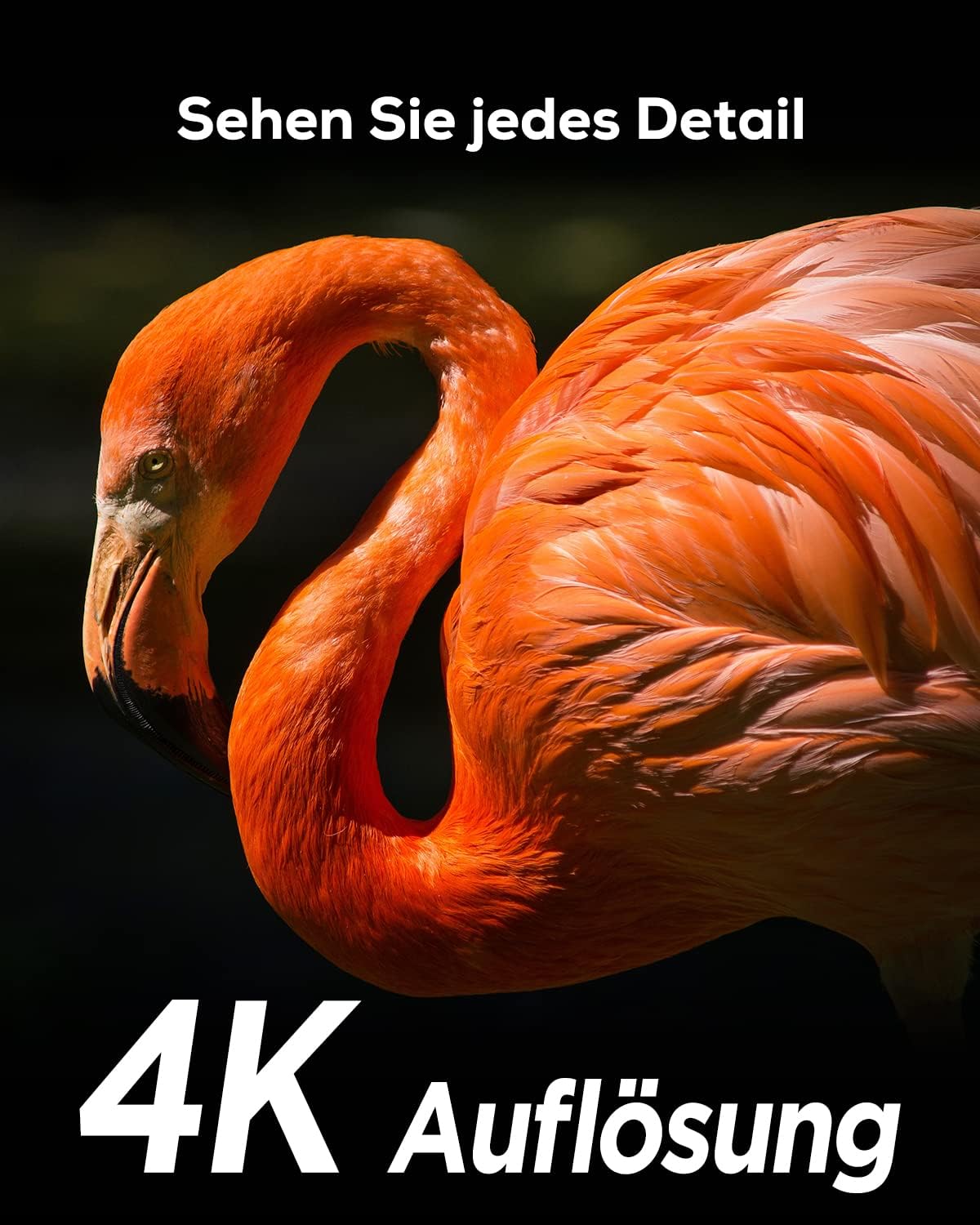 Wildkamera mit WLAN und dualem Objektiv (4K, 60MP)
