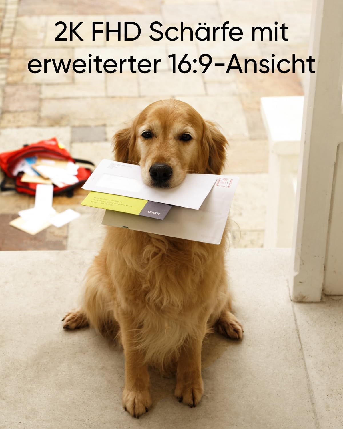 Video Türklingel C30 mit Kamera und Bewegungserkennung, Nur eingebauter Akku