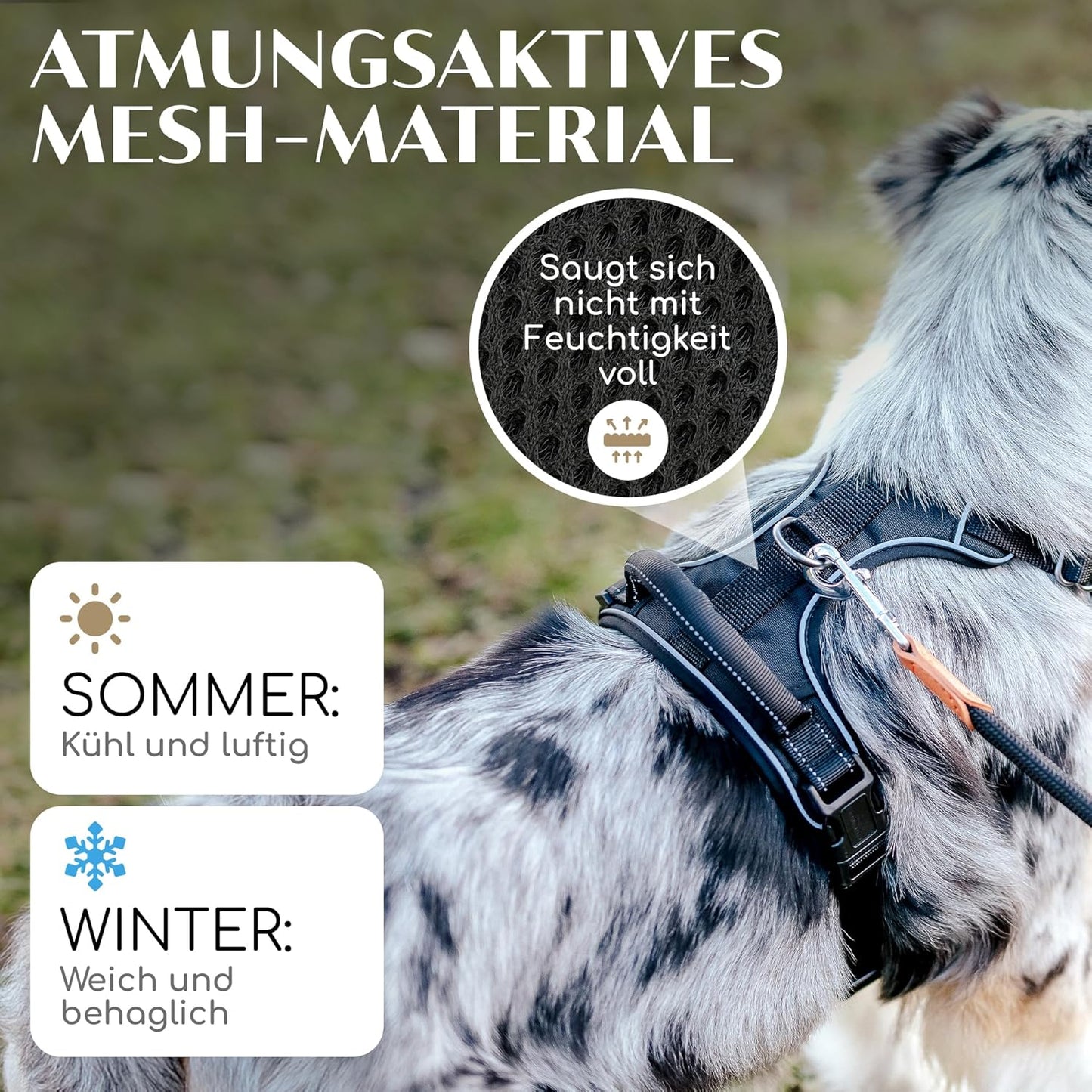 Hundegeschirr, M Black