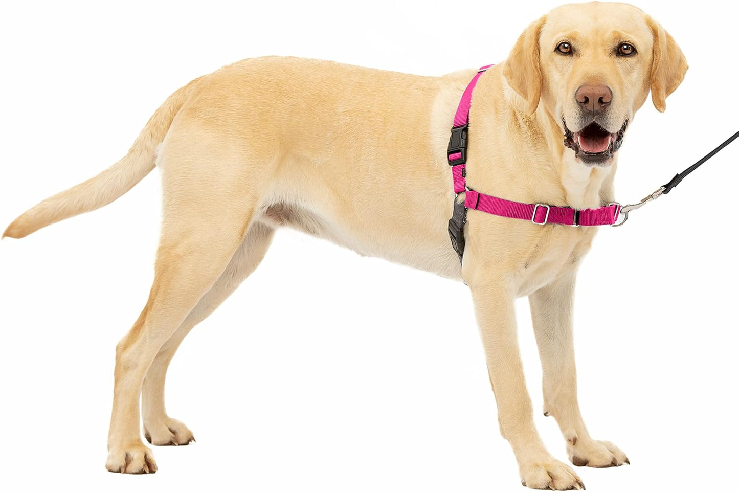 Easy Walk Anti-Zieh-Hundegeschirr mit 1,8 m Leine, L Rosa