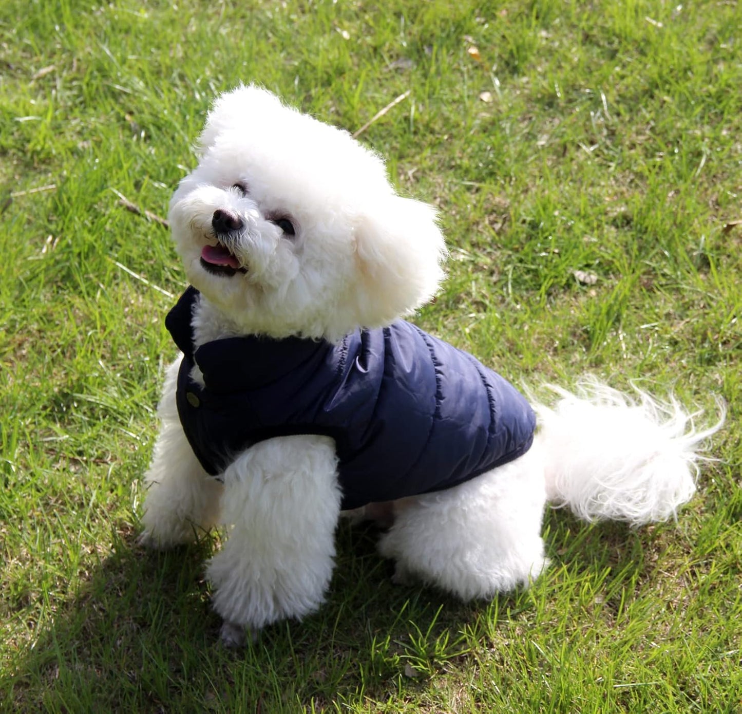 Gefütterte Hundejacke, S Blau