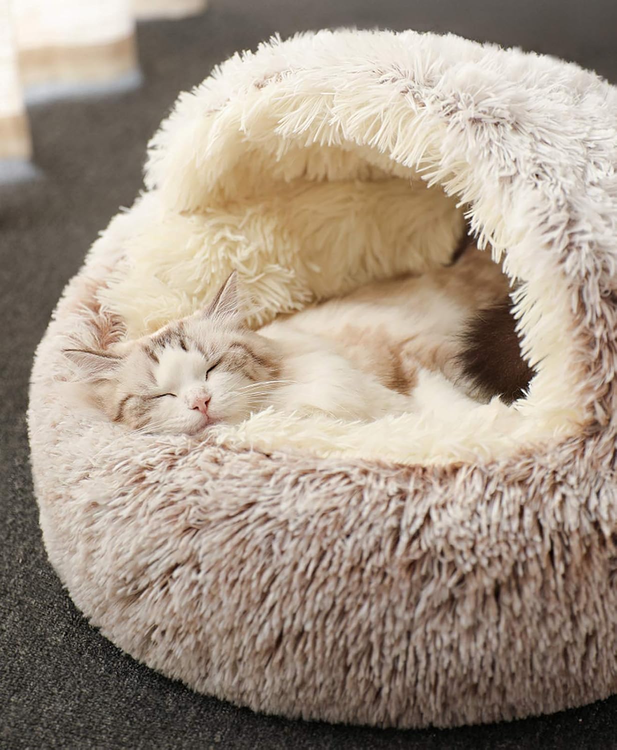 Plüsch-Katzenbett, Kaffeefarbe Plüsch