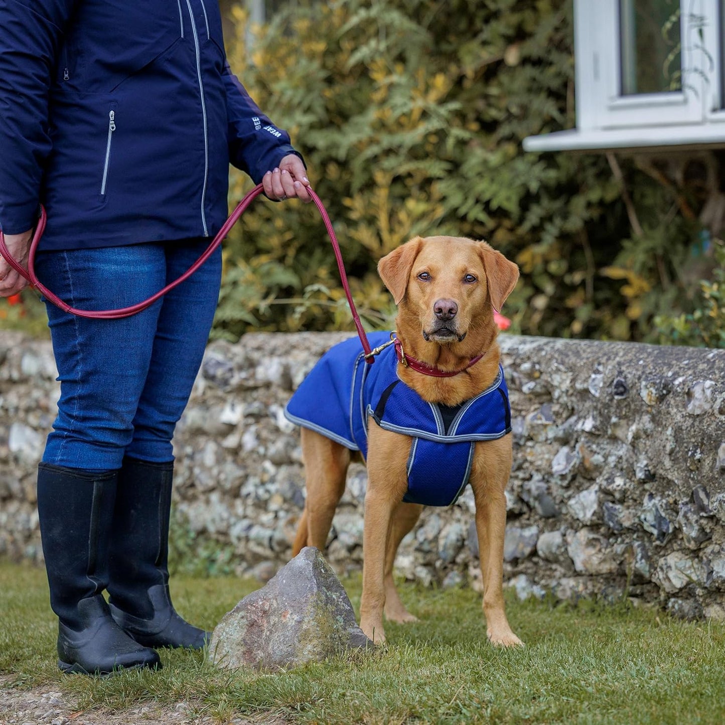 Comfitec Premier Hundemantel (30cm, 35cm), 35 cm