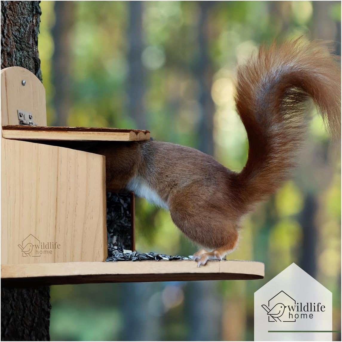 Eichhörnchen Futterhaus mit Rindendach, Eichhörnchen Futterhaus mit Rindendach