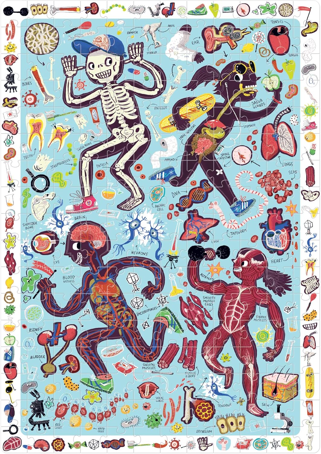 Mein Körper Bodenpuzzle mit Lernposter, My Body