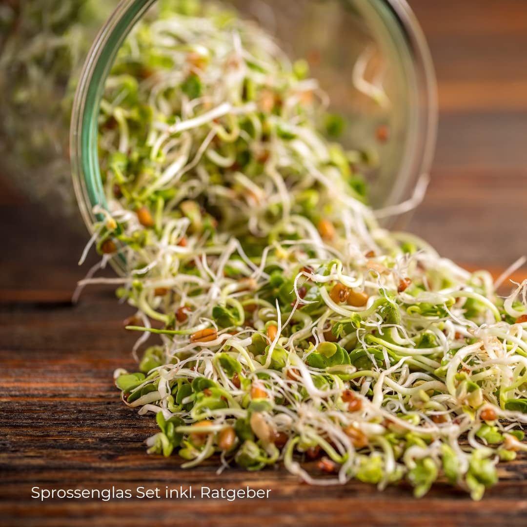 2er-Set Sprossenglas mit Edelstahlgitter