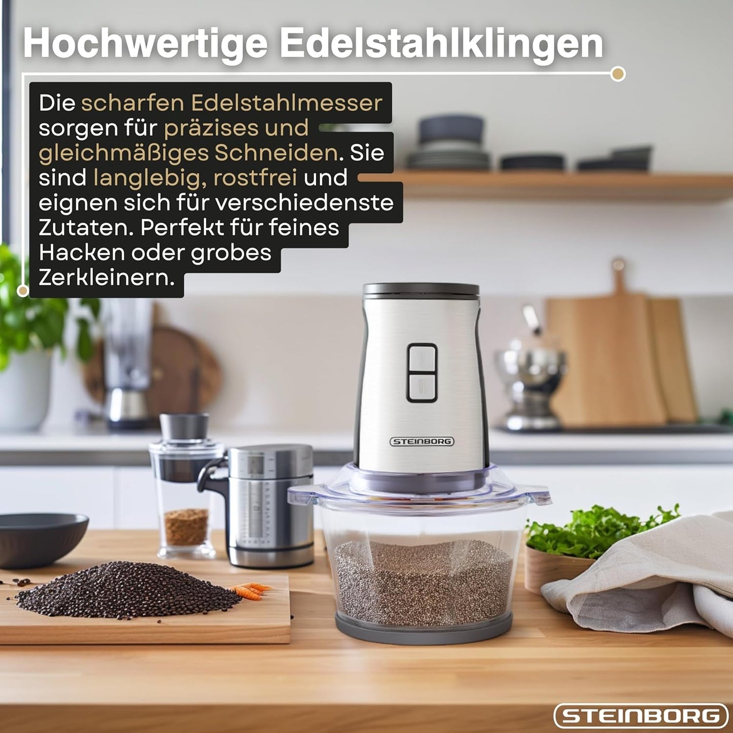 2in1 Standmixer & Multizerkleinerer Set