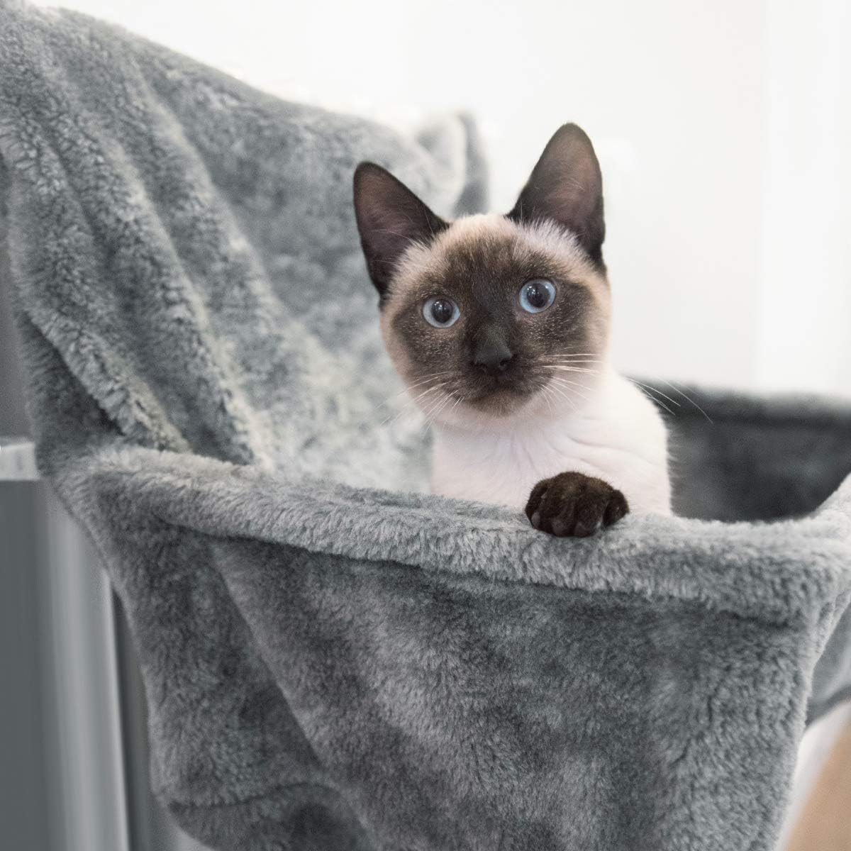 Katzen-Kuschelsack für Heizkörper, Grau