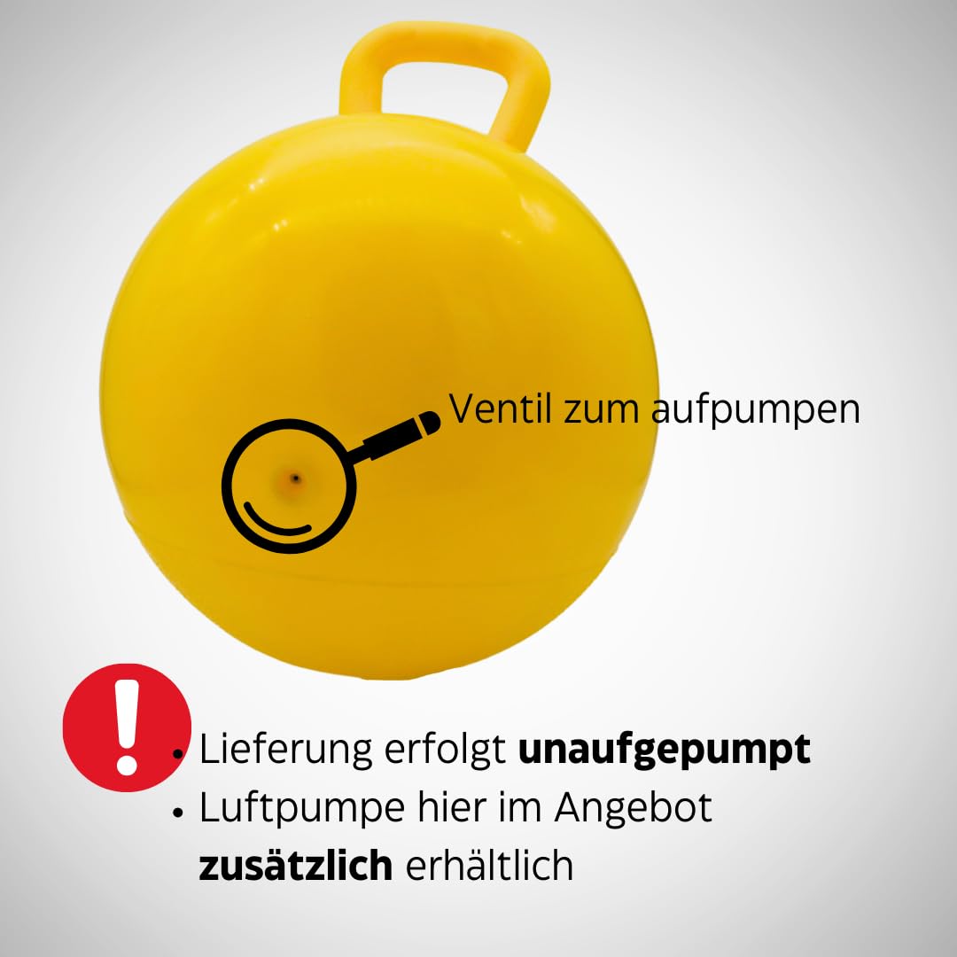 Aufblasbarer Pferdespielball mit Luftpumpe, 30cm Mit Luftpumpe
