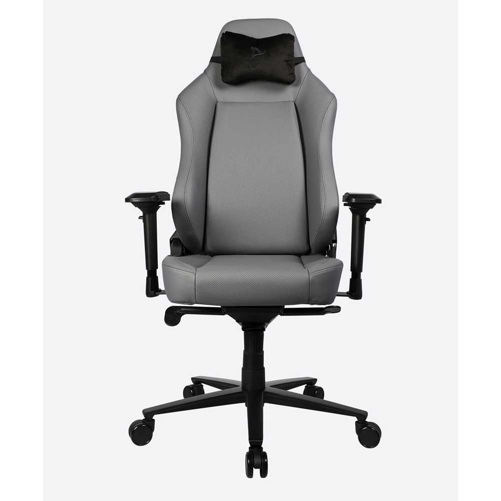 Gaming Stuhl mit Armlehne