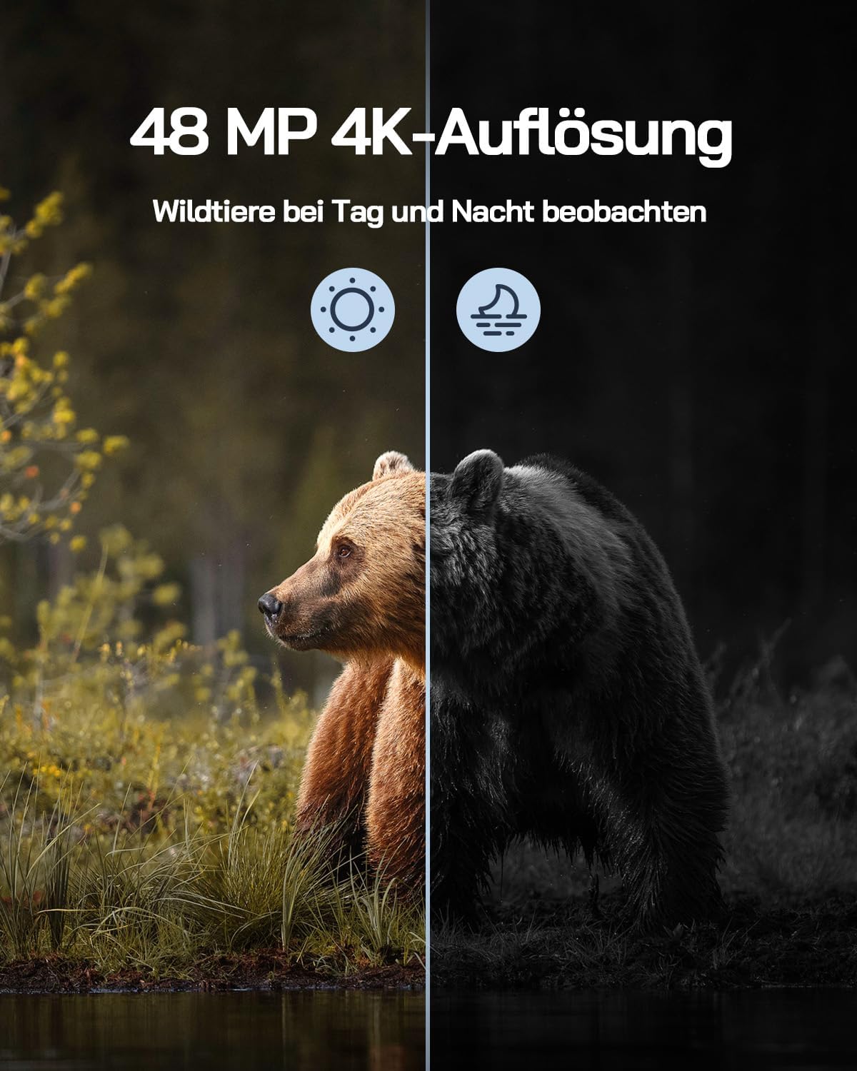 4K Solar Wildkamera WT02 mit Bewegungssensor, Nachtsicht