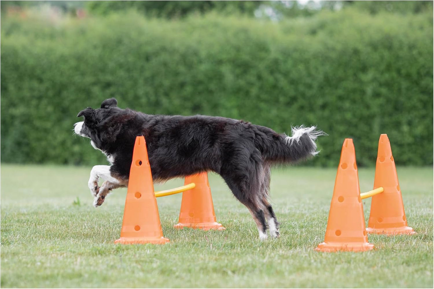 Dog Activity Hindernisse-Set, 3 St., ø 23 × 30 cm/78 cm