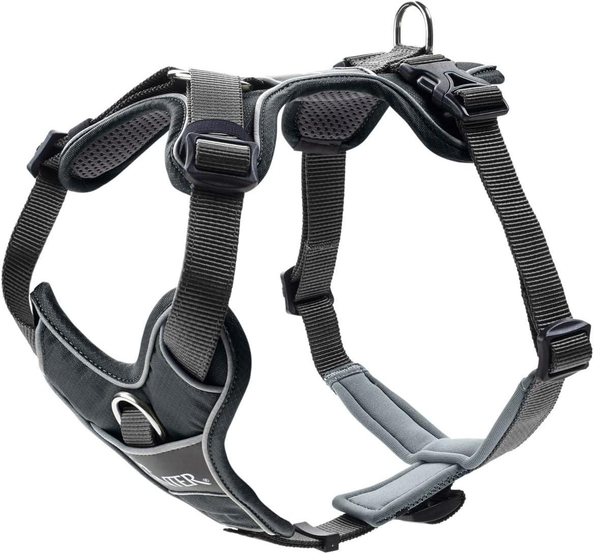 Geschirr Divo, 34 - 47 cm / grau/grau