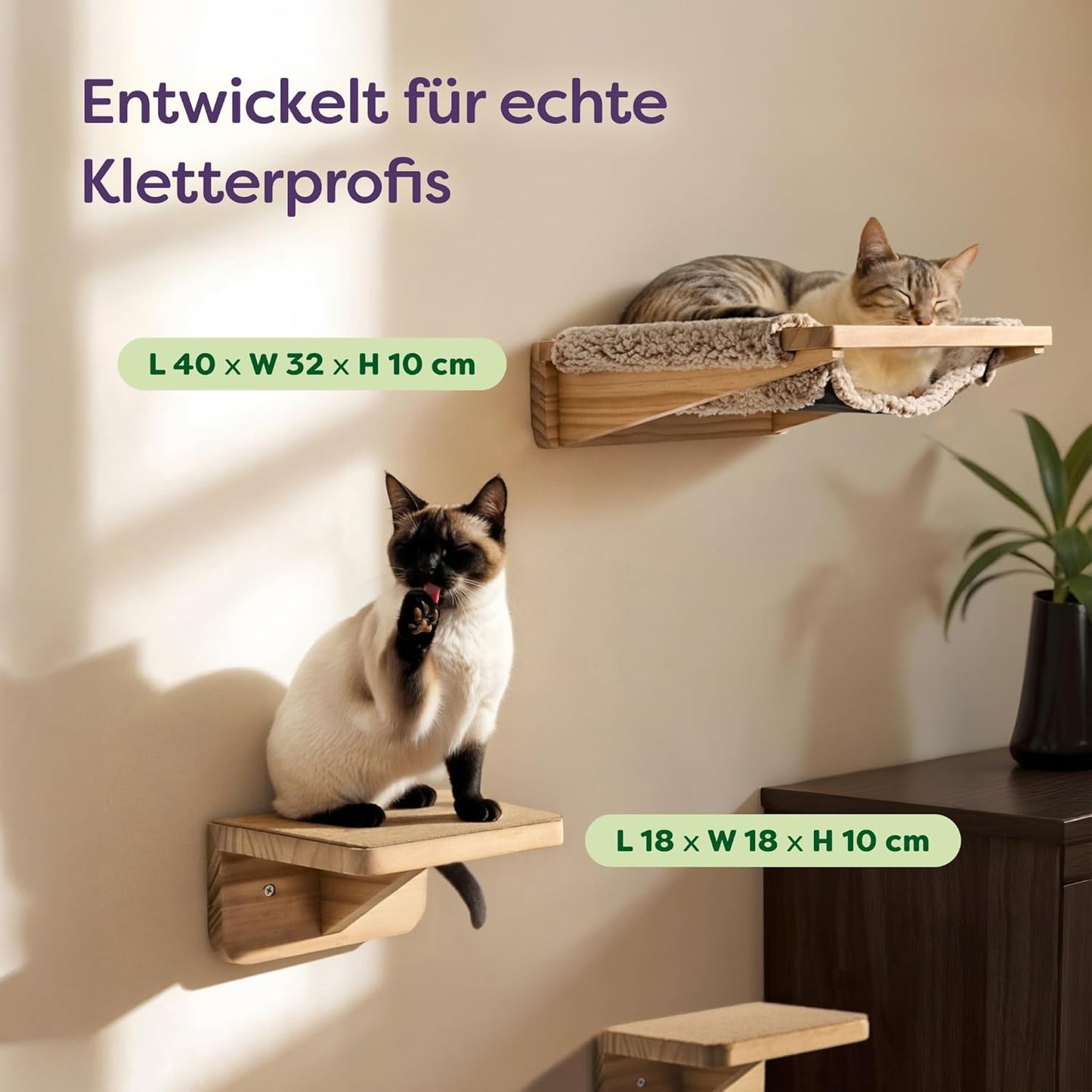 Katzen-Kletterwand-Set mit Hängematte