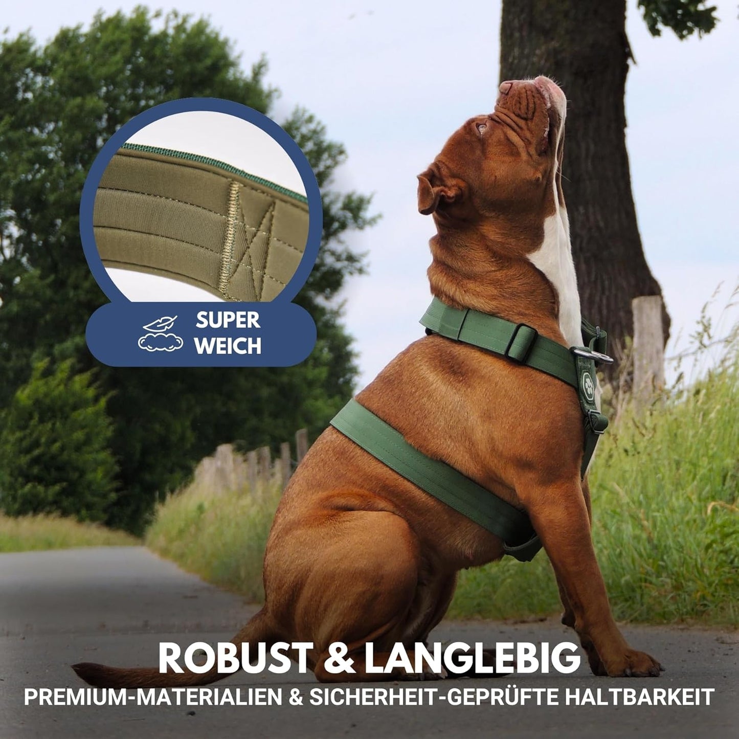No Pull Hundegeschirr für grosse Hunde (16-25 kg), S [16-25kg] Grün