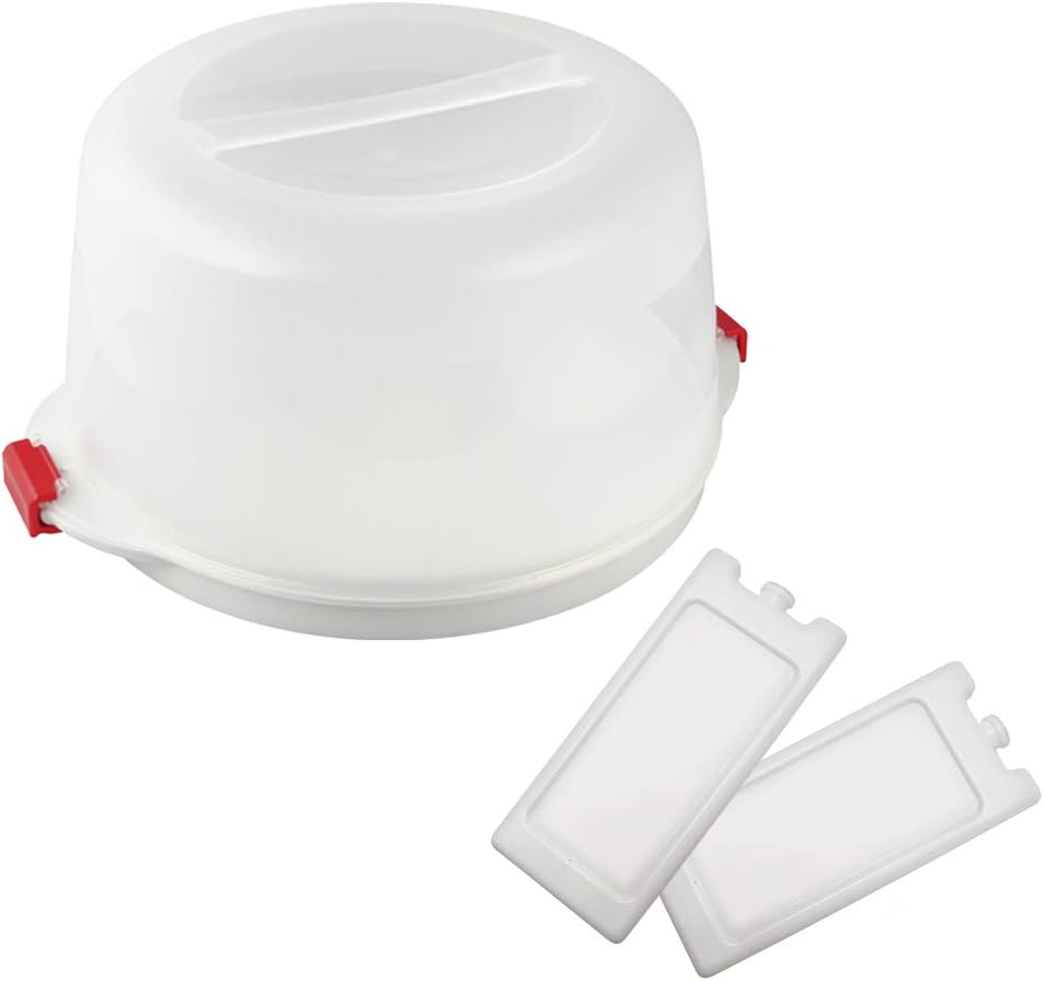 Kuchentransportbox mit Kühlakkus, Transportbox mit Akkus