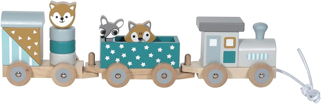 Holz-Eisenbahn mit Zoo-Tieren und Bausteinen, Petrol