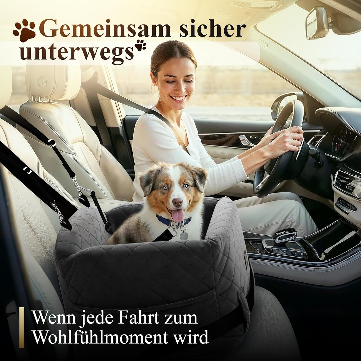 Hundeautositz mit Sicherheitsleine