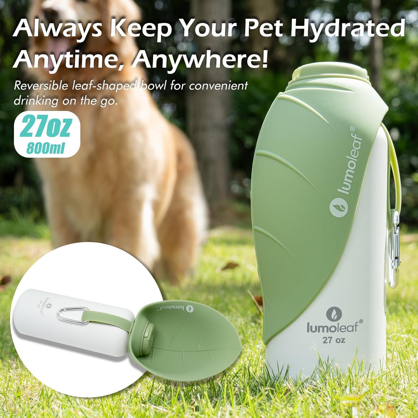 Isolierte Wasserflasche für Hunde, Grün 800 ml