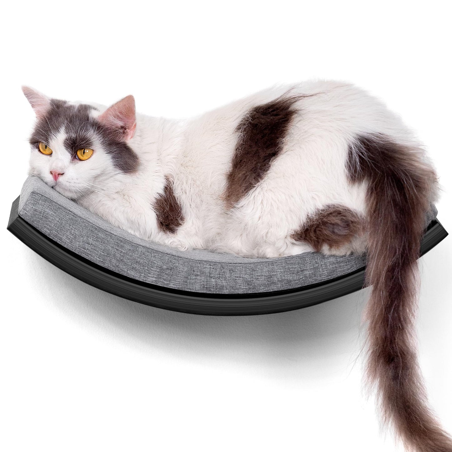 Gebogenes Katzenwandregal mit Kletter- und Schlafplatz, Gray 1PC Katze Wandregal
