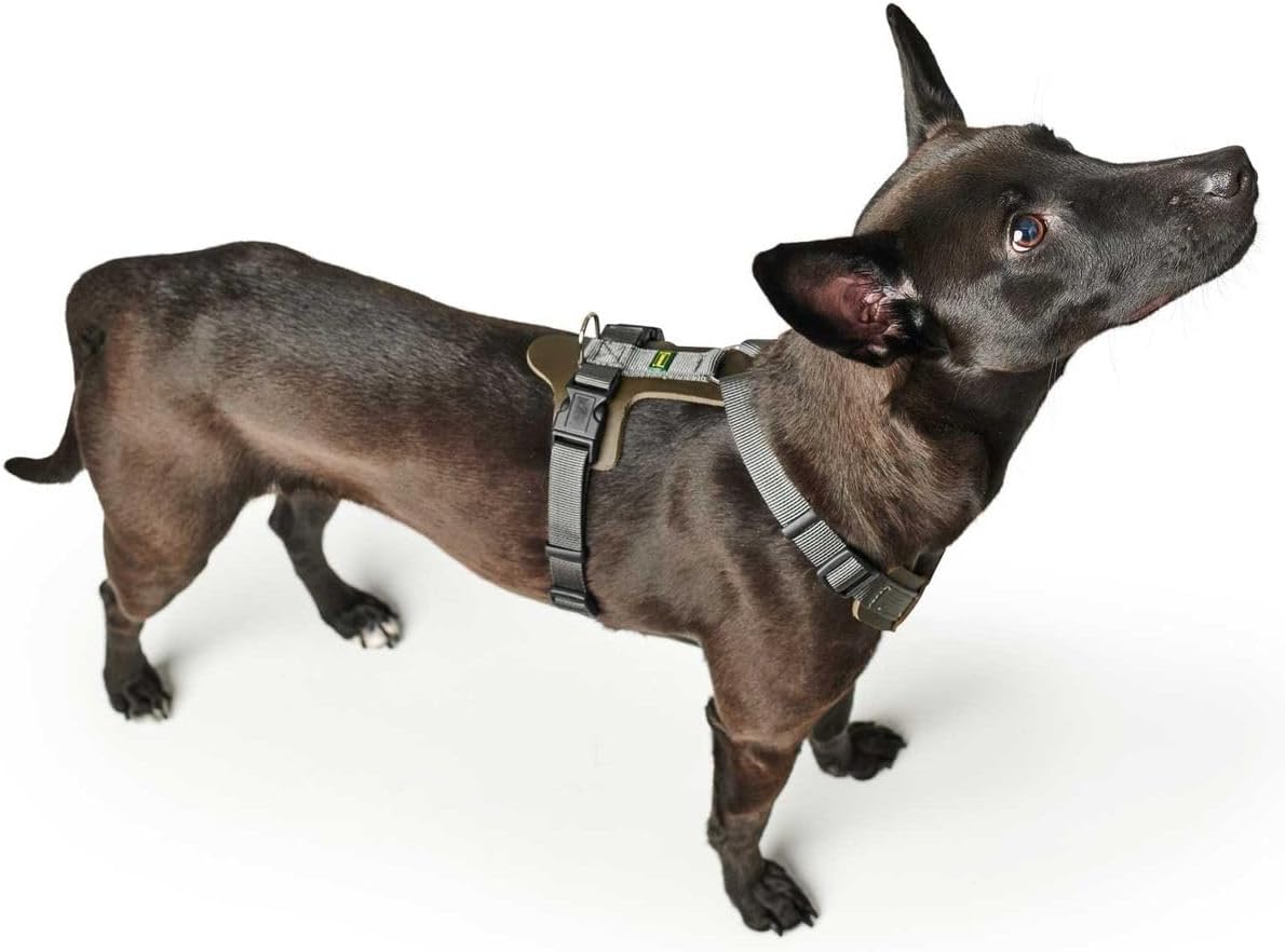Aalborg Mixed Hundegeschirr, oliv/grau, 63 - 96 cm
