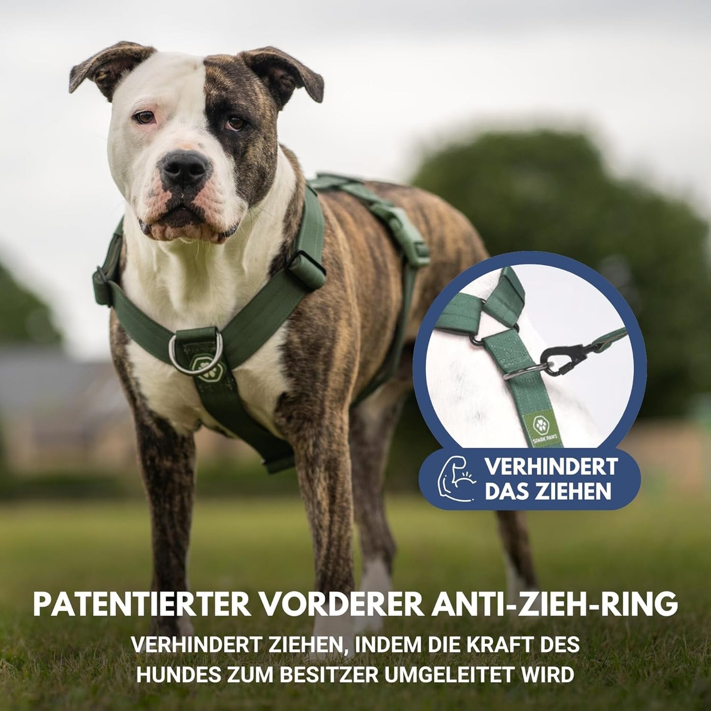 No Pull Hundegeschirr für grosse Hunde (16-25 kg), S [16-25kg] Grün