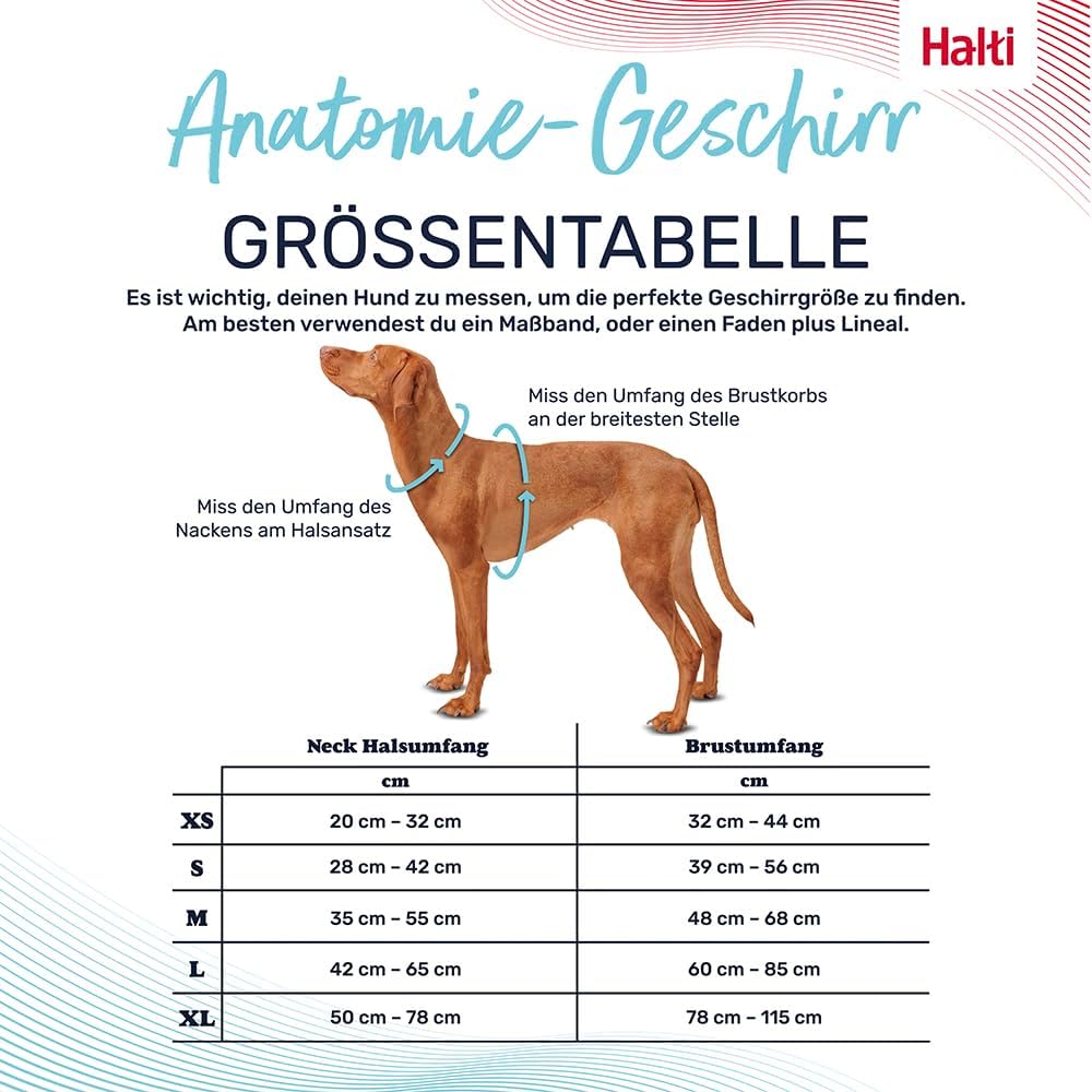 Anatomie Hundegeschirr mit Griff, Grau M