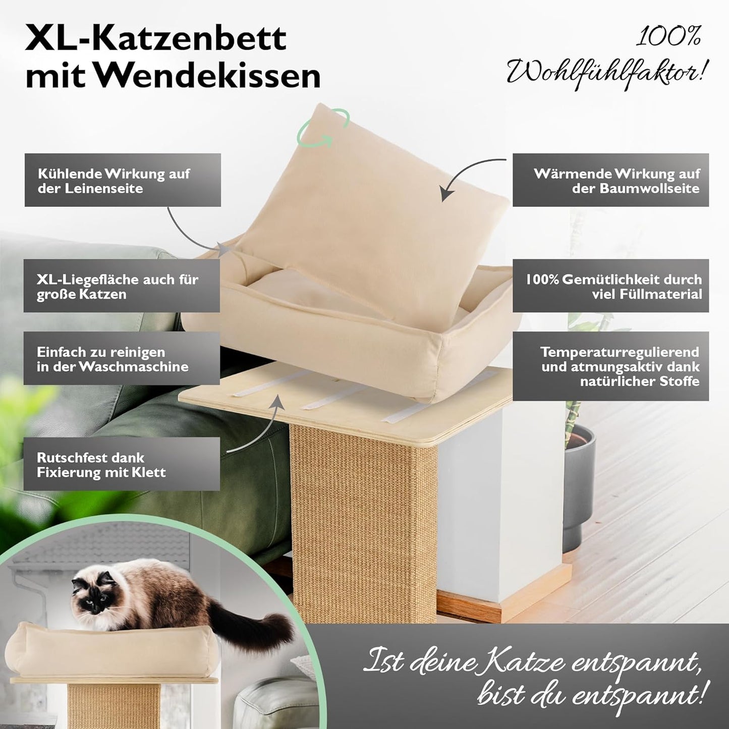 Kratzbaum mit breitem Kratzstamm und Katzenbett, Birke/beige