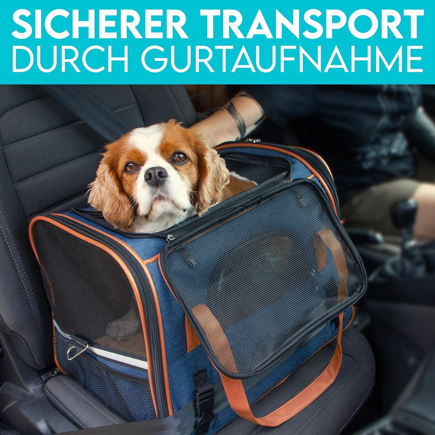 Hundetragetasche, L 46 x B 35 x H 37 cm Dunkelblau