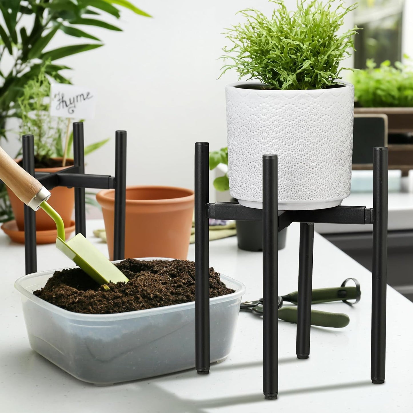 Pflanzenständer-Set, Schwarz