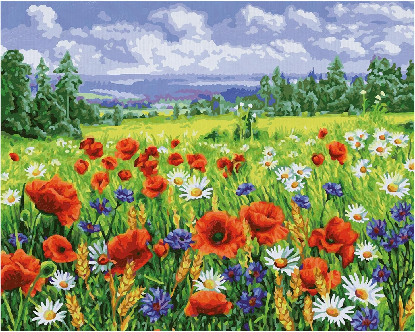 Malen nach Zahlen Blumenwiese