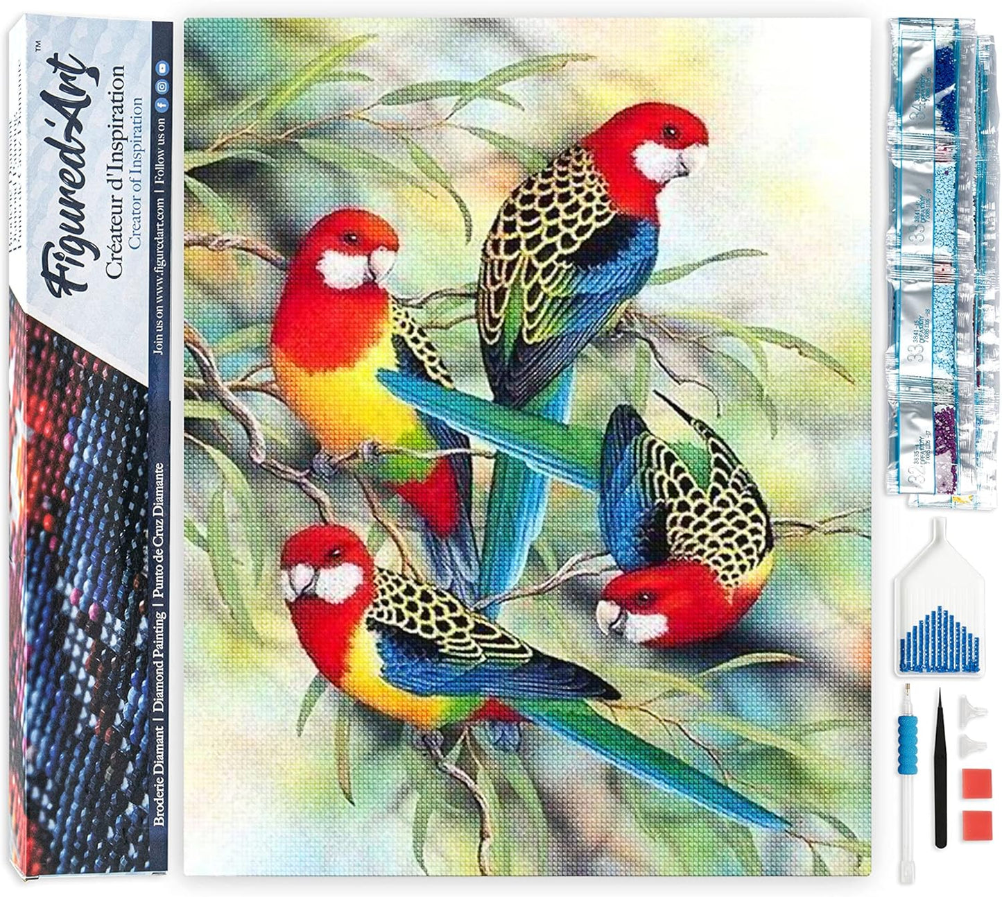 Diamond Painting, 40 x 50 cm, Papageien auf Niederlassung 40x50cm (Ohne Rahmen)