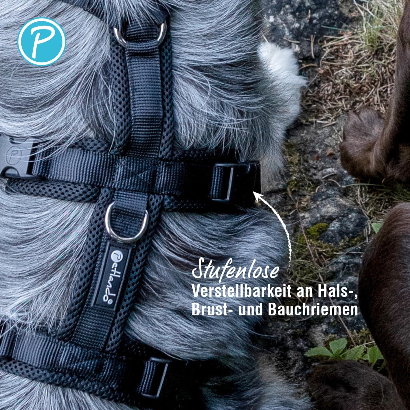 Ausbruchsicheres Sicherheitsgeschirr, Petrol XL