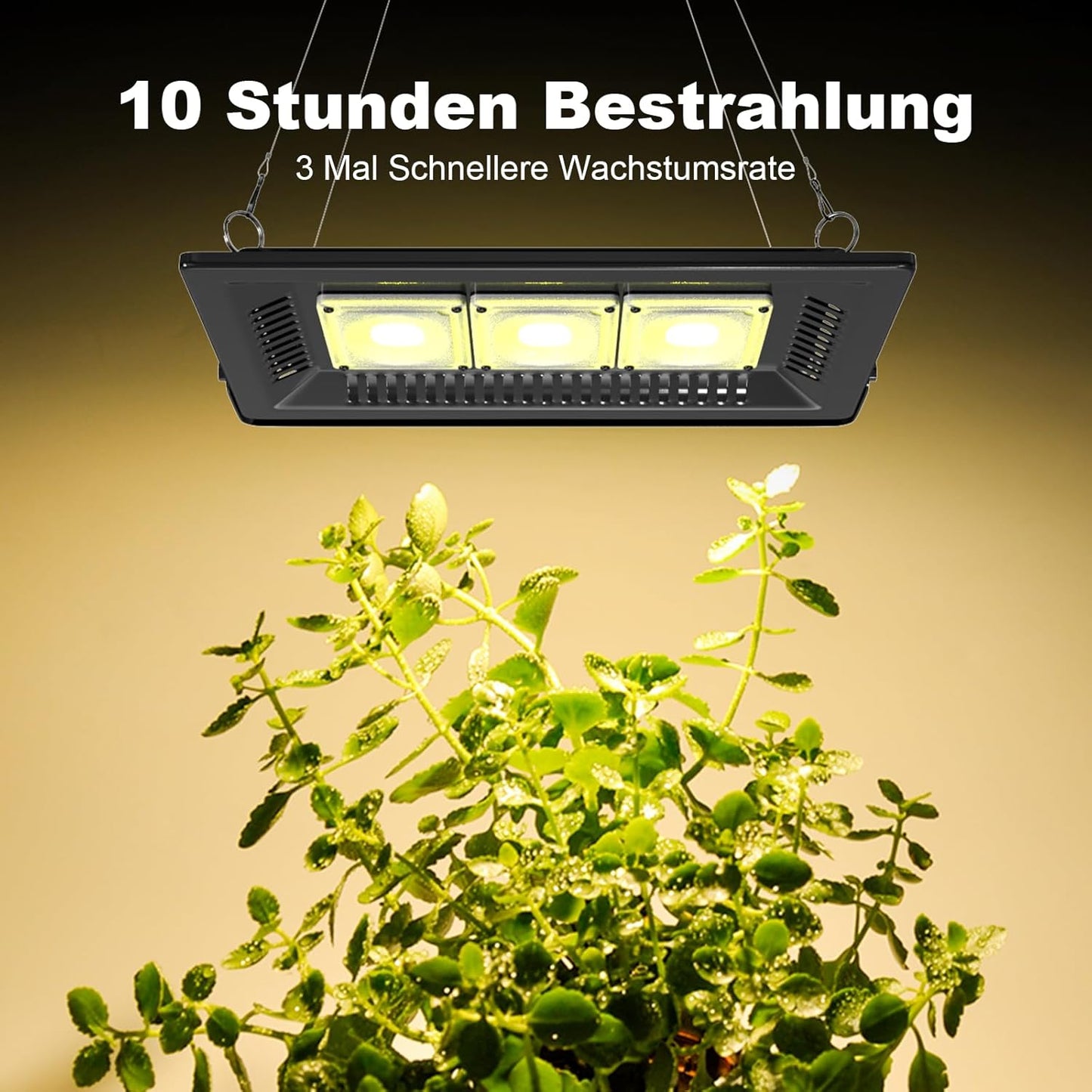 LED Pflanzenlampe Vollspektrum, 600.0 Watt