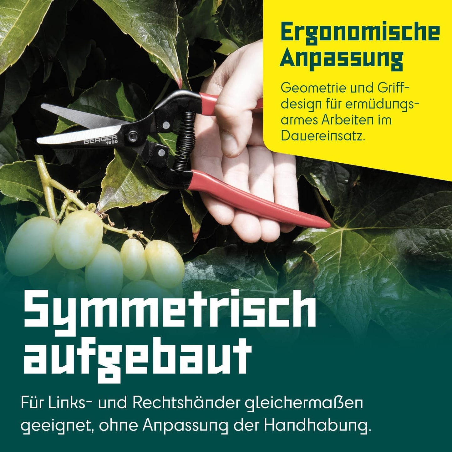 Traubenschere 1600, Single
