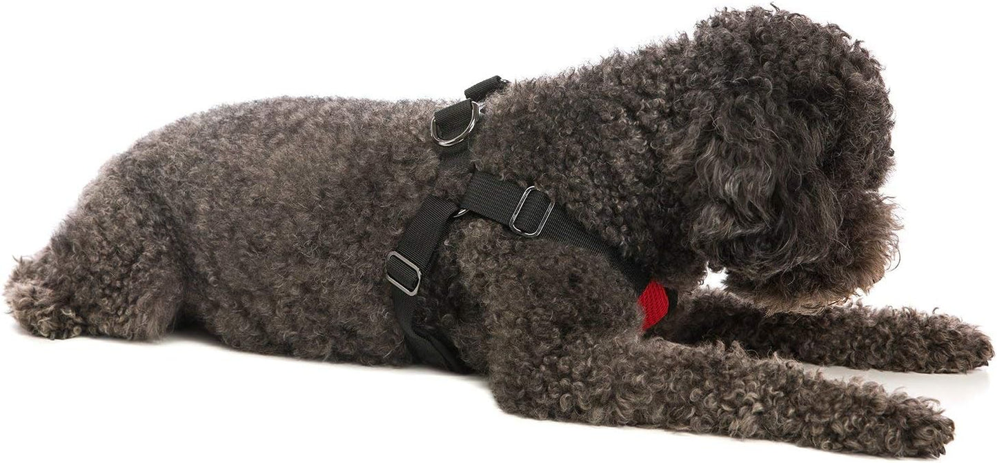 Step-In Hundegeschirr XL, Rot/Ausflug, einfarbig (Getaway Solids) X-Large chest (22~28")