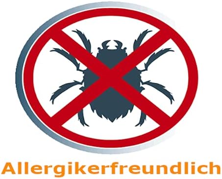 Staubsaugerbeutel SP49 für AEG, Philips, Elektrolux