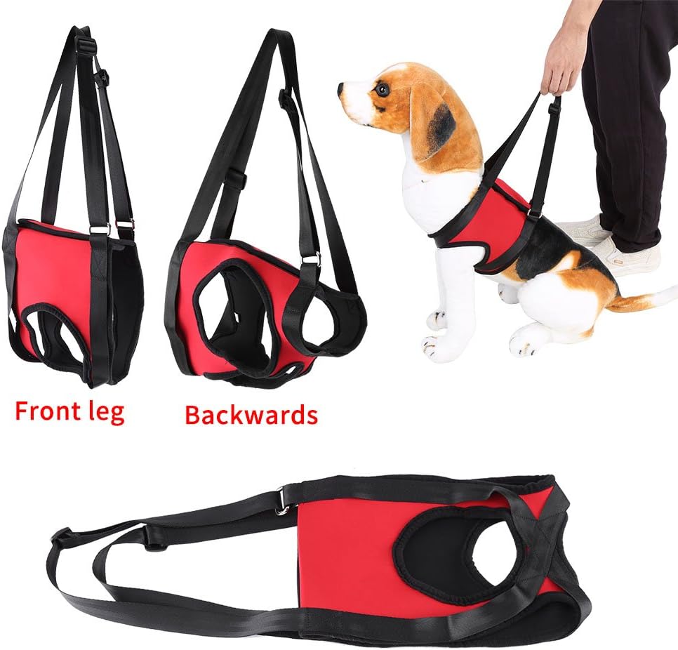 Hunde-Gehhilfe für Vorderbeine, Front Leg L