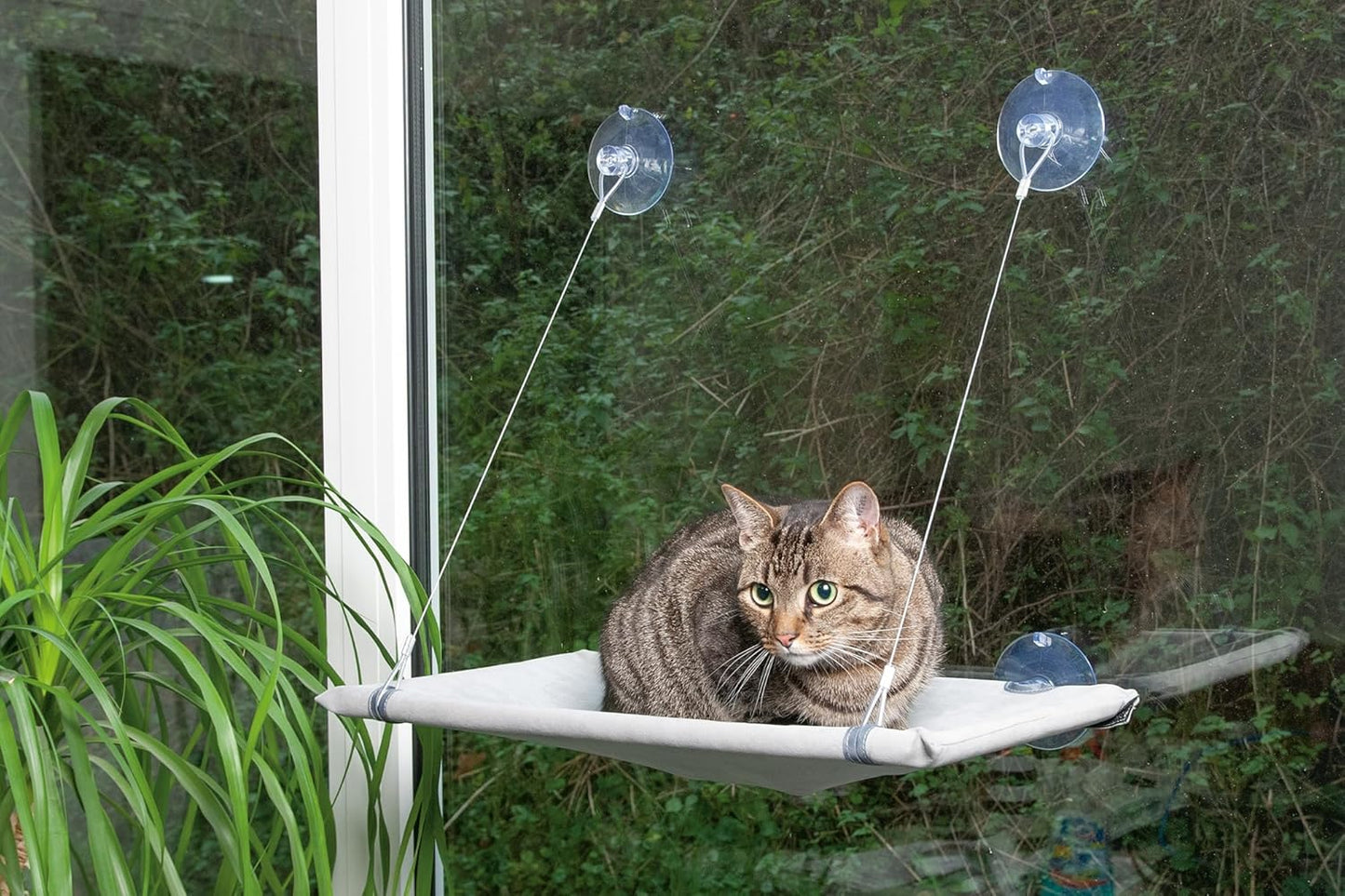Fensterliege Window Lounger mit Saugnäpfen
