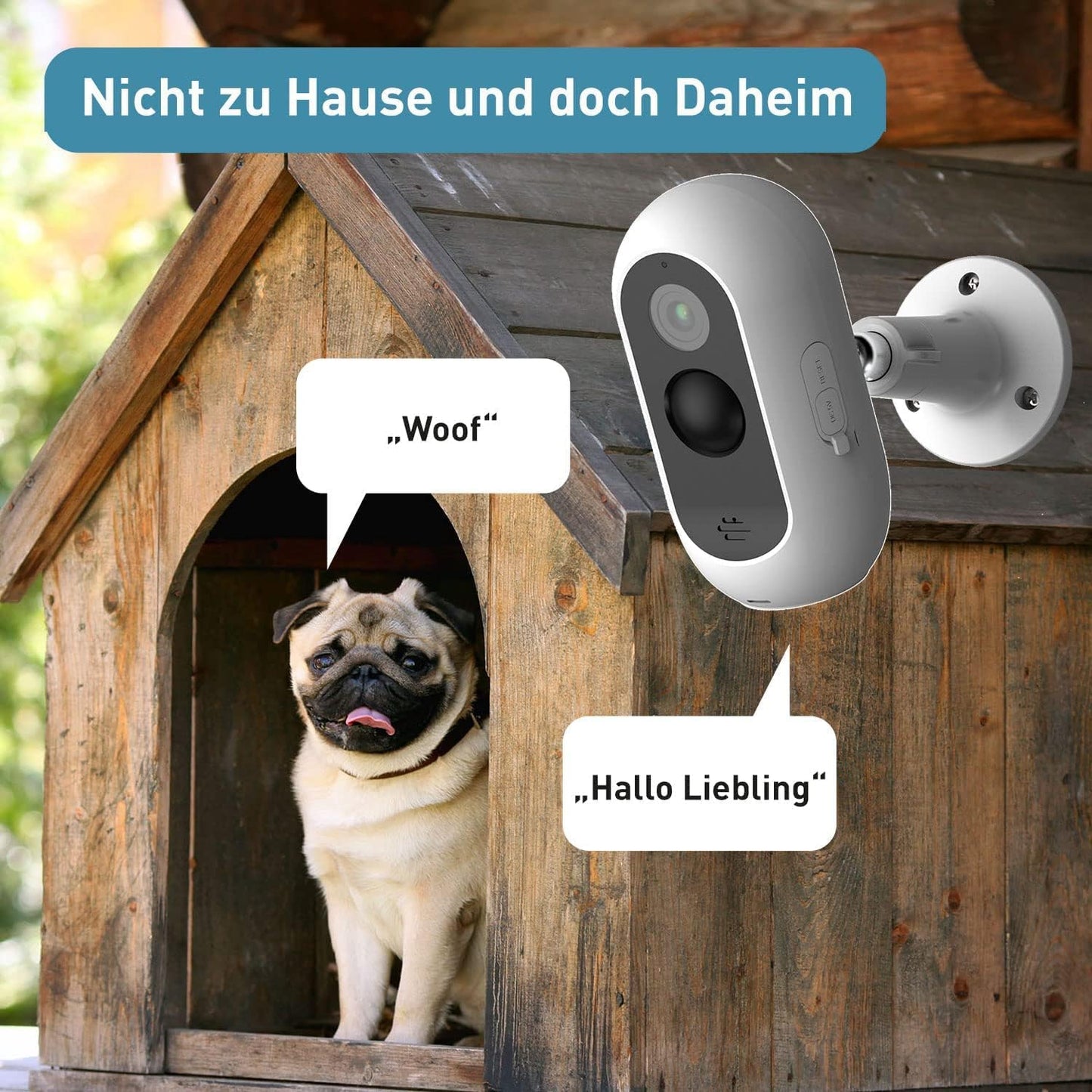 2er-Haustierkamera-Set mit Bewegungserkennung, Sprachfunktion & Nachtsicht, Cam Free 2er Set