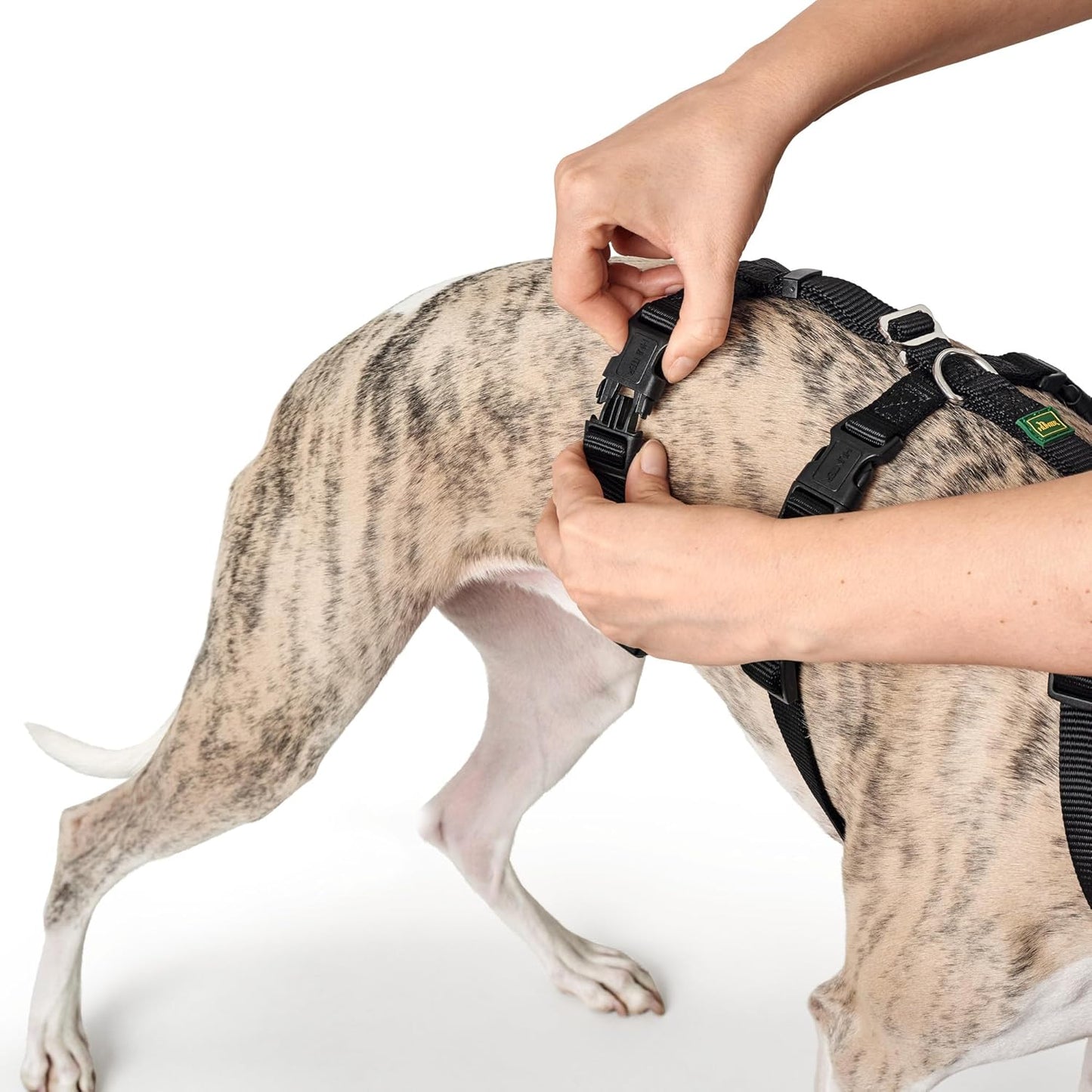 Hundegeschirr 38-52 cm Braun Schwarz XS/S, schwarz Einheitsgrösse